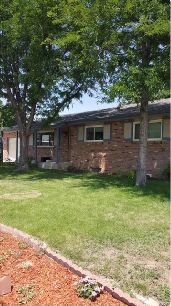 Primary Photo - 301 Olive Ln
