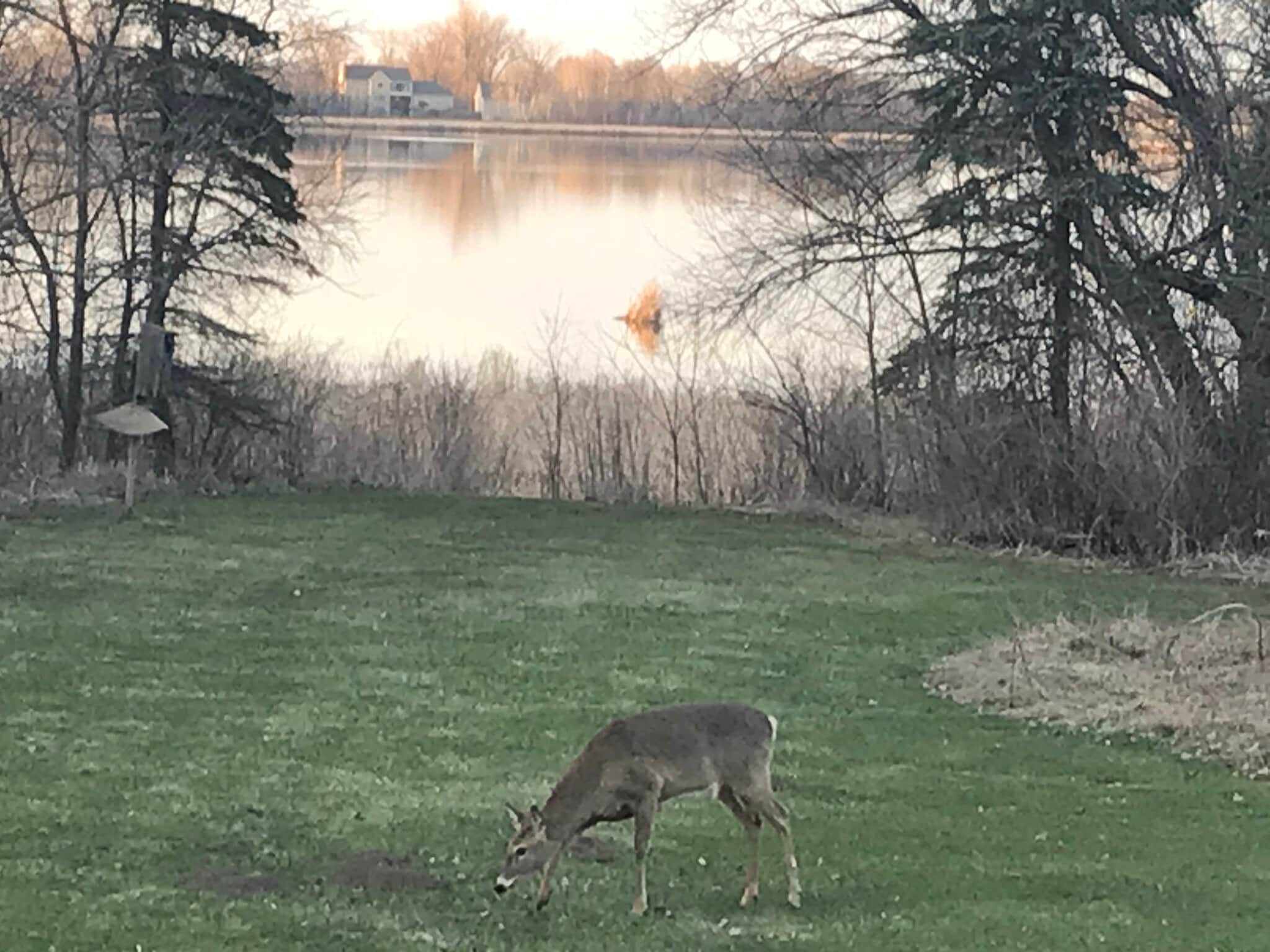 Building Photo - 6100 Centerville Rd