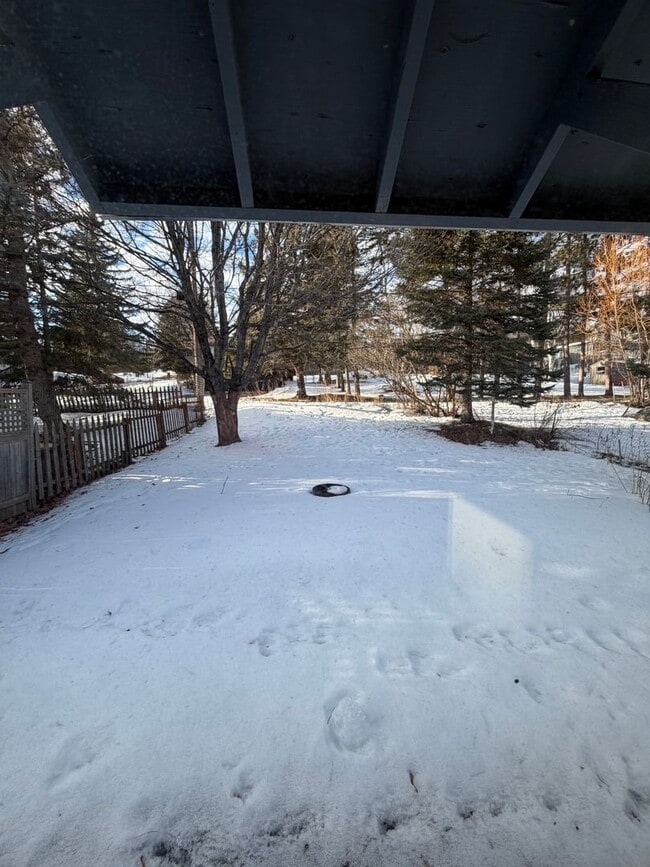 Building Photo - AVAILABLE JUNE - Beautiful 4 Bed 1 Bath Near UMD