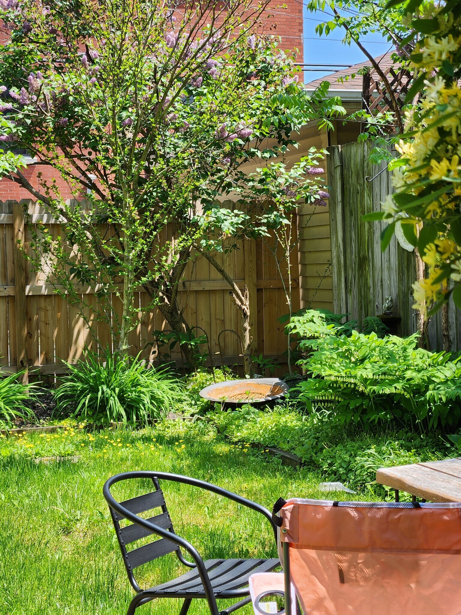 Building Photo - 45 Park St