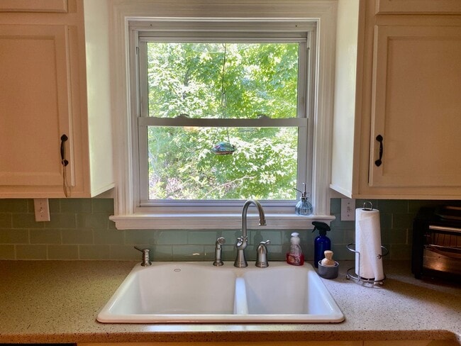 Building Photo - North AVL - Spacious Home with Large Yard and Outdoor Fireplace!