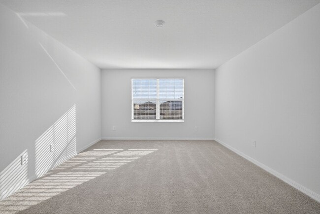 Building Photo - Brand New 6-Bed Available Now!