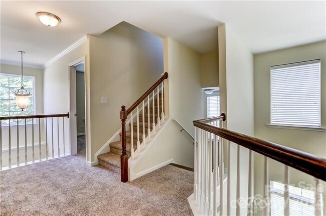 Building Photo - 5067 Timber Falls Dr
