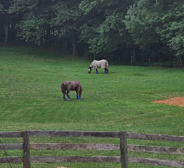 Building Photo - 4020 Bay Rd