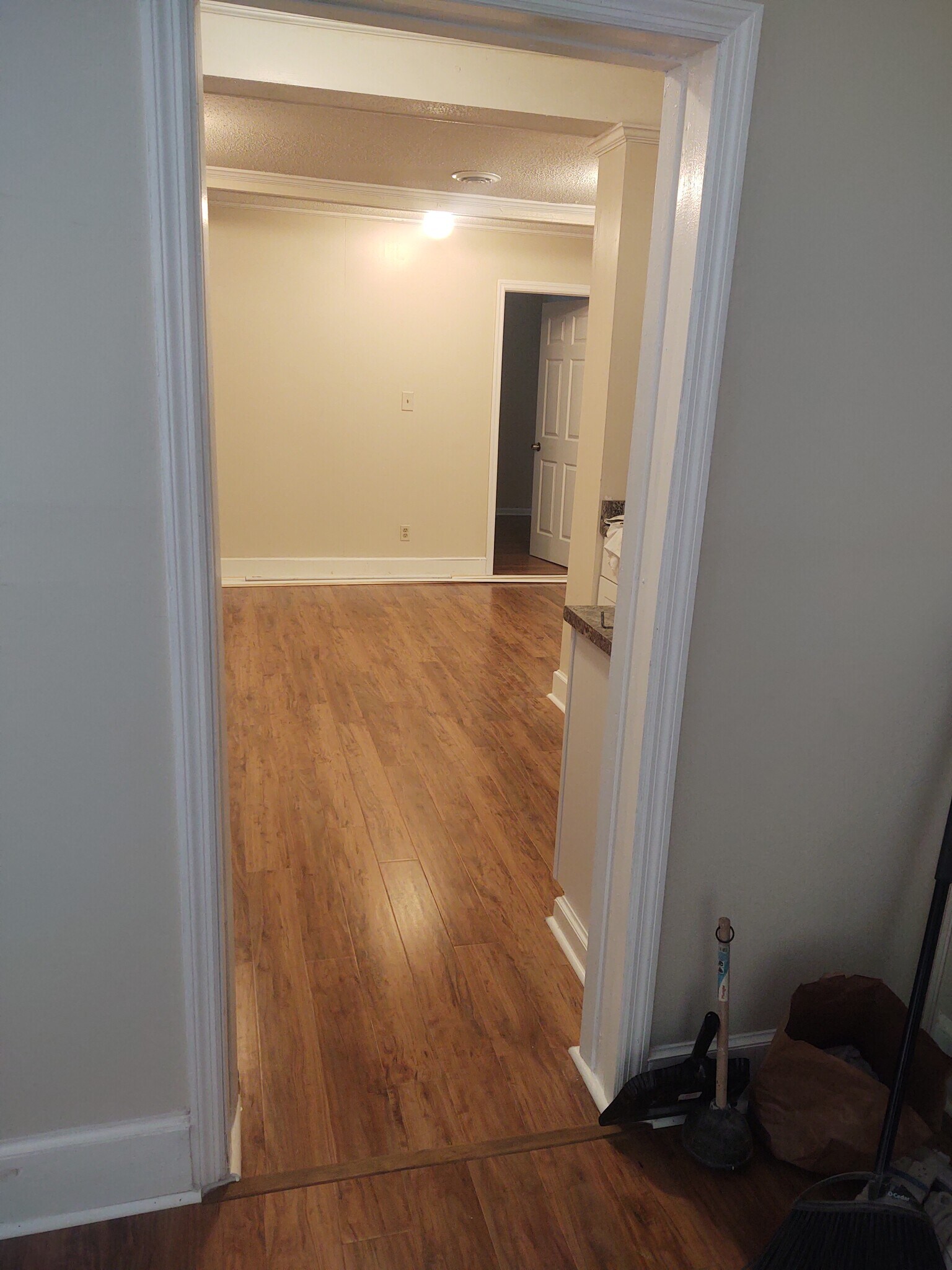 Entrance to kitchen from living room - 116 Houseworth St