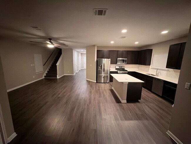 Primary Photo - Arabian Colt