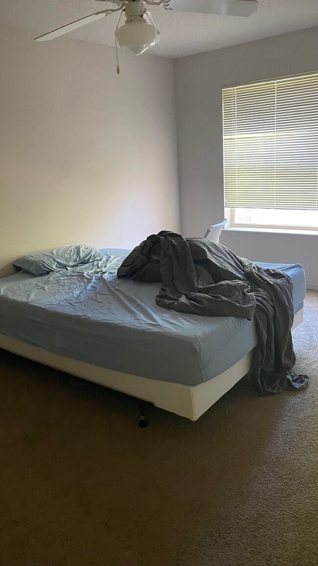 Bedroom1 - 12 Private Road 3151