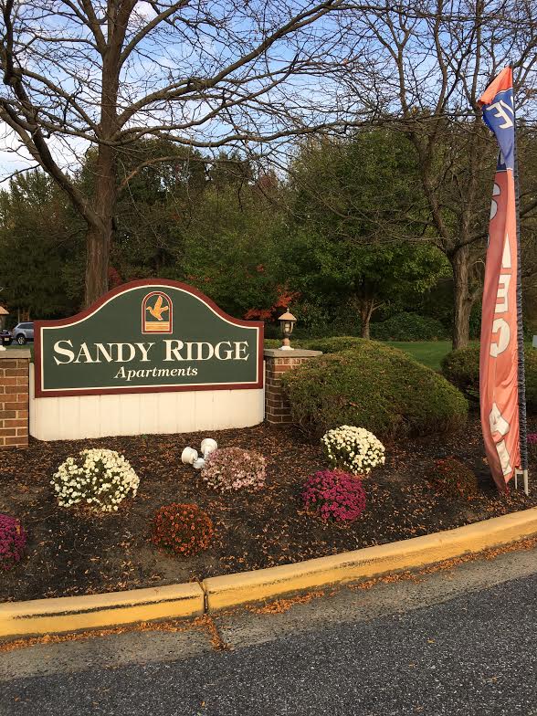 Building Photo - Sandy Ridge Apartments