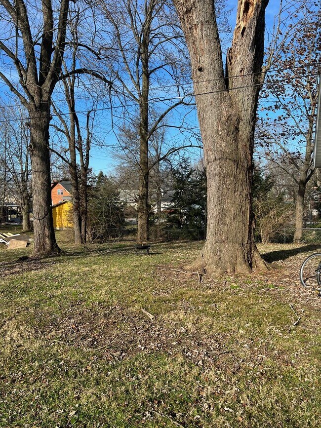 Building Photo - 4-Bedroom, 3-Bath Bungalow Near Bryan Park