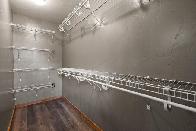 Building Photo - Amazing 3 Bedroom/2 Bath Bi-Level Home for Rent