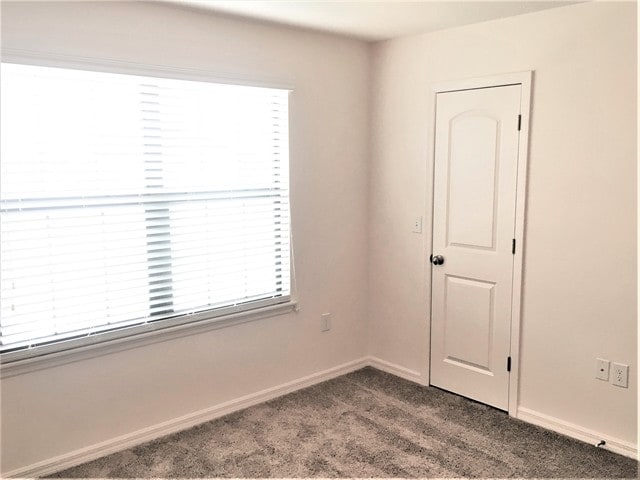 Building Photo - 12528 Ballentrae Forest Dr