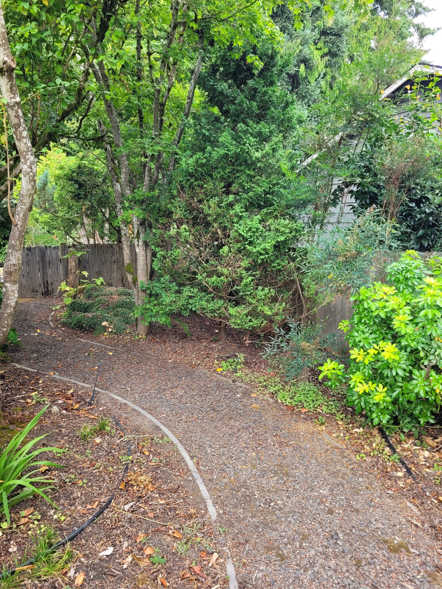 PRIVATE PATH AROUND HOUSE - 5955 SW 179th Ave