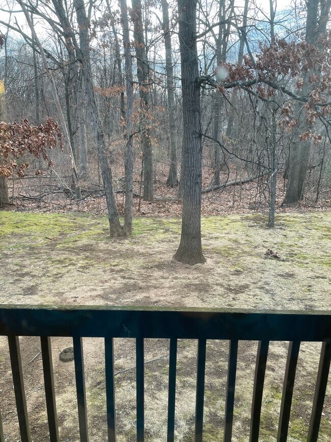 Building Photo - Plainville Woods Condo