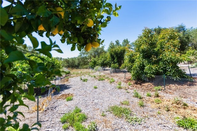 Building Photo - 44640 La Cuesta Rd