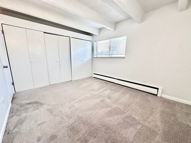 Bright and spacious carpeted bedroom with large closets, expansive window, and modern white trim. - Columbine Plaza