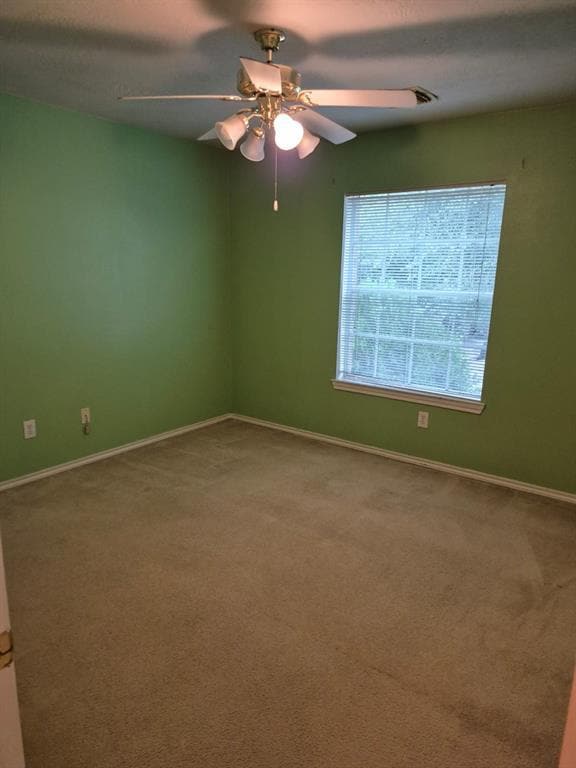 Building Photo - 3123 Aylesworth Ct