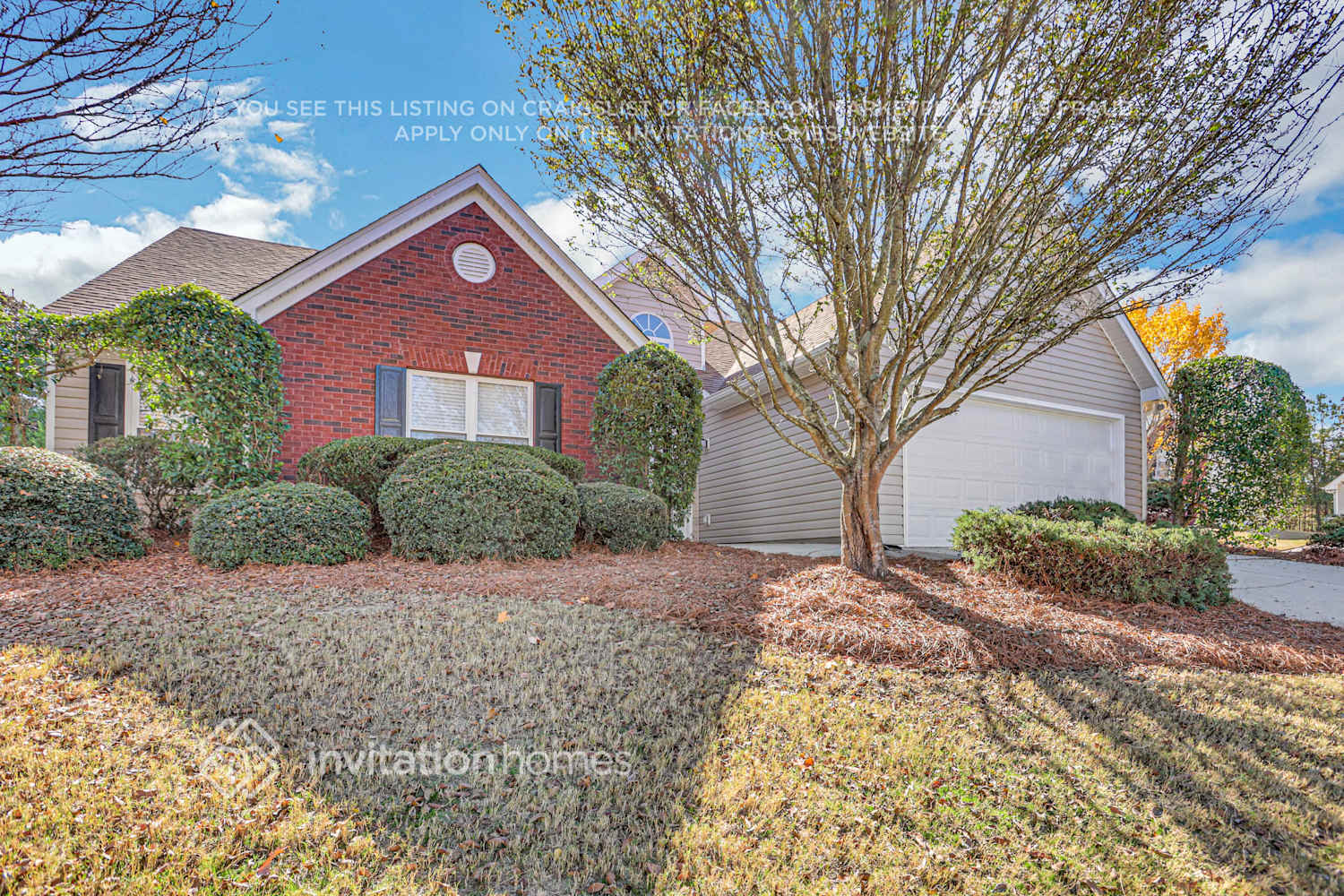 Building Photo - 907 Koala St