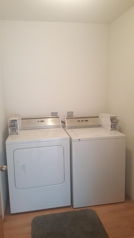 Building Photo - 146 Erin Ct