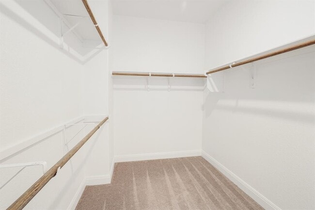Building Photo - 113 King Thistle Ct
