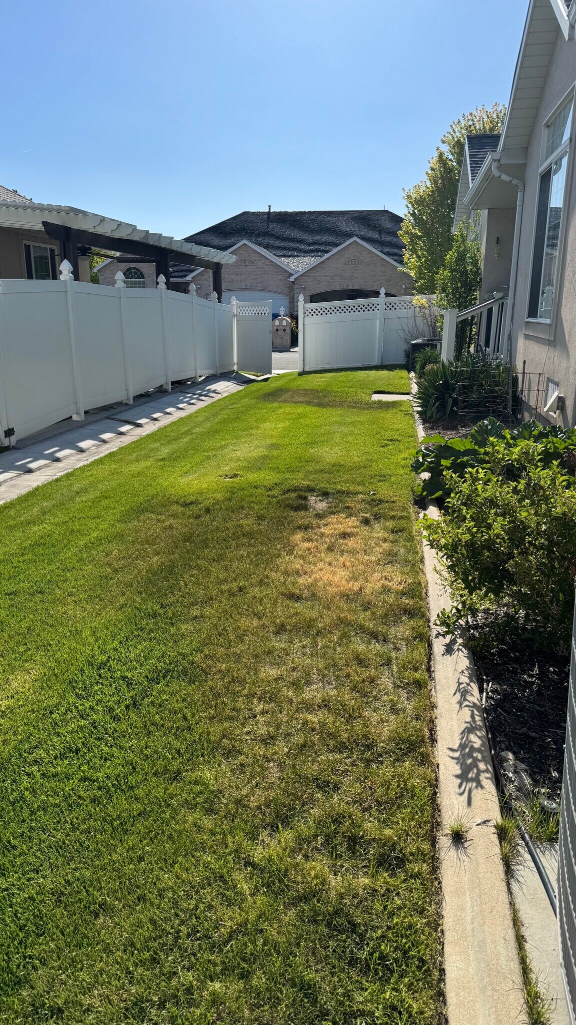 Backyard - 565 W 40 N