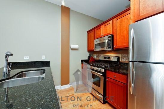 Building Photo - 1 bedroom in Chicago IL 60616