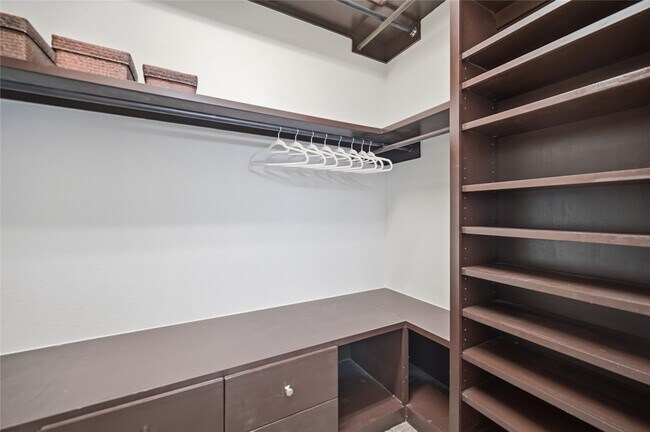 Building Photo - 3831 Daintree Park Dr