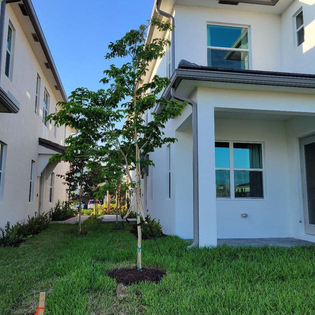 Building Photo - 8978 Zevon Ct