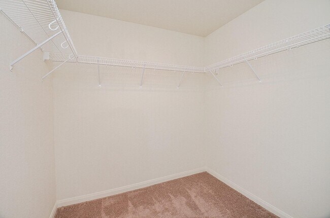 Building Photo - 2037 Mule Ridge Dr