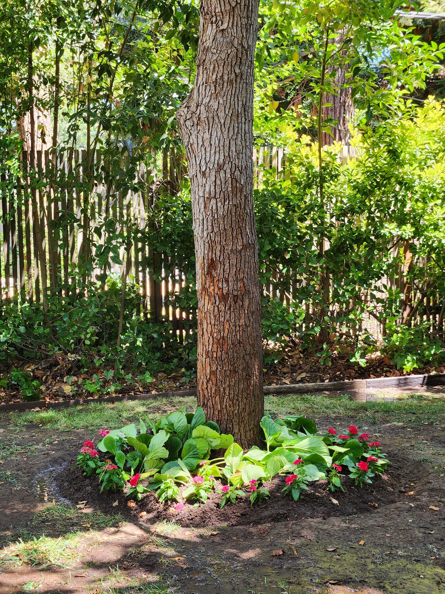 Building Photo - 6043 Leafwood Dr