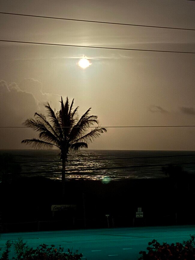 Building Photo - 5159 N Hwy A1A