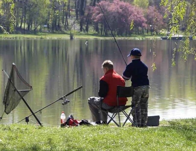 Building Photo - 248 Canary Dr