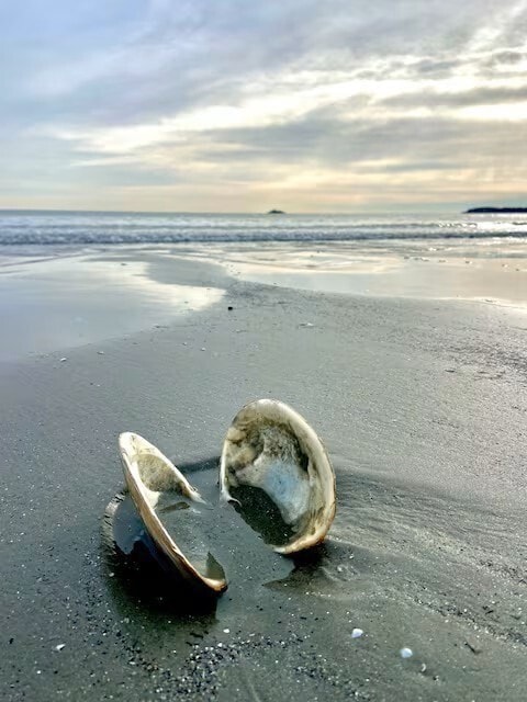 Building Photo - 164 Wilson Rd