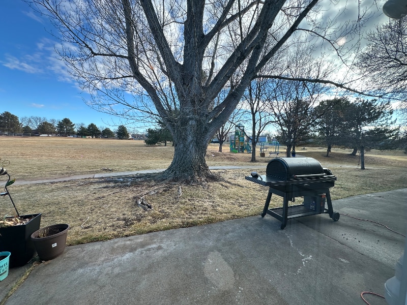 Building Photo - 398 Cypress St