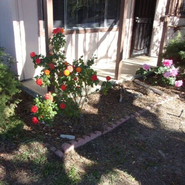 Building Photo - Spacious Private Home with Pool on Nearly Half an Acre