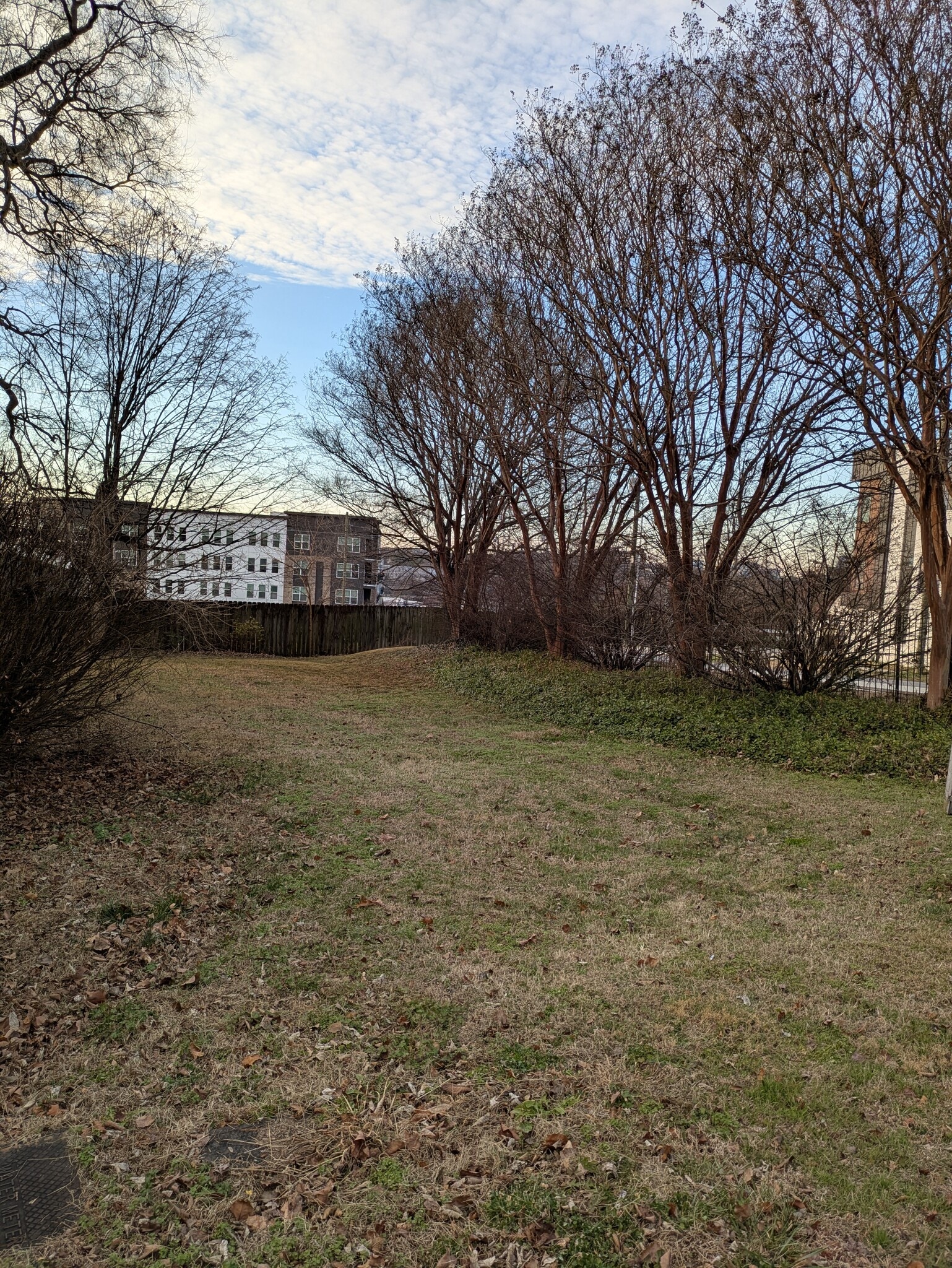 Side yard - 2703 Rosedale Pl