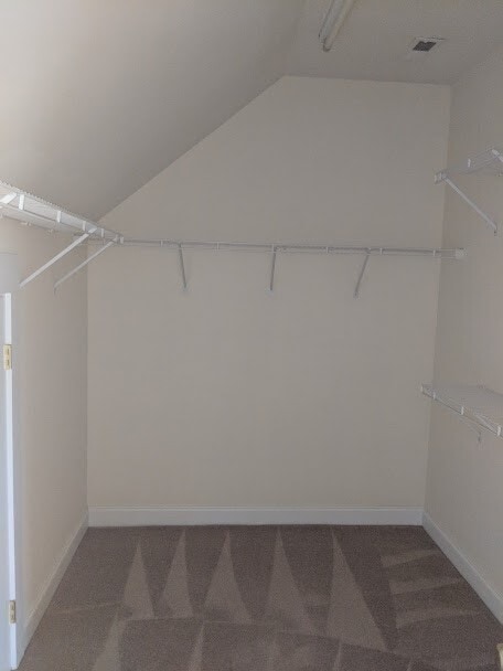 Building Photo - BIRKDALE VILLAGE 3 BEDROOM/2 BATH