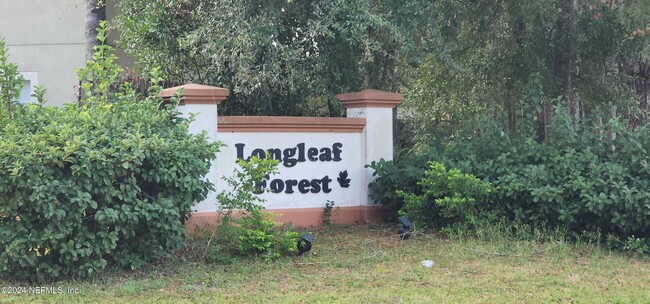 Building Photo - 8050 Longleaf Forest Ct