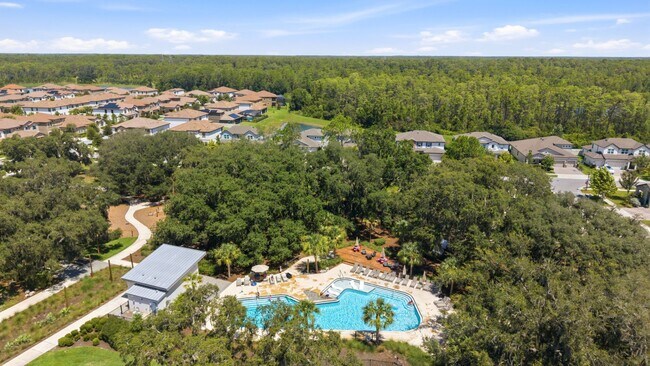 Building Photo - Absolutely Stunning 4 BR + LOFT + OFFICE/2.5 Bath/2 Car Garage home in Starkey Ranch!
