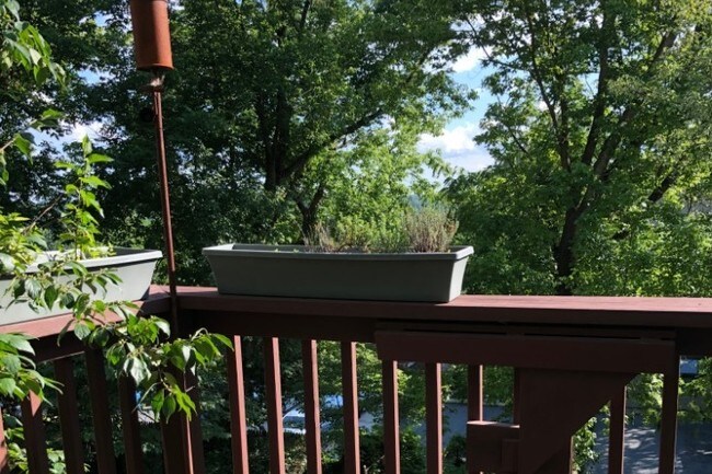 Building Photo - 5162 Fulton St NW