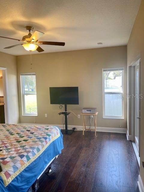 Building Photo - 1736 Mova St