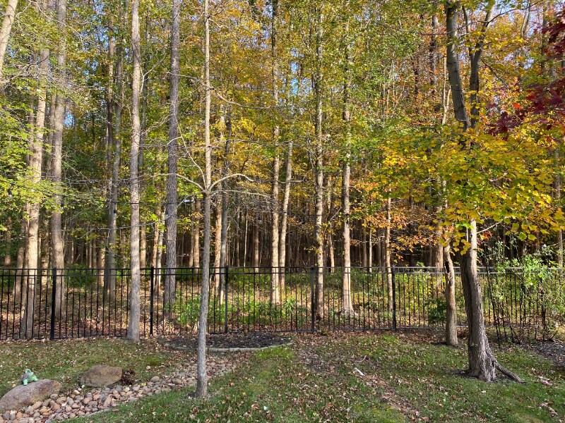 Building Photo - 353 Daleview Dr