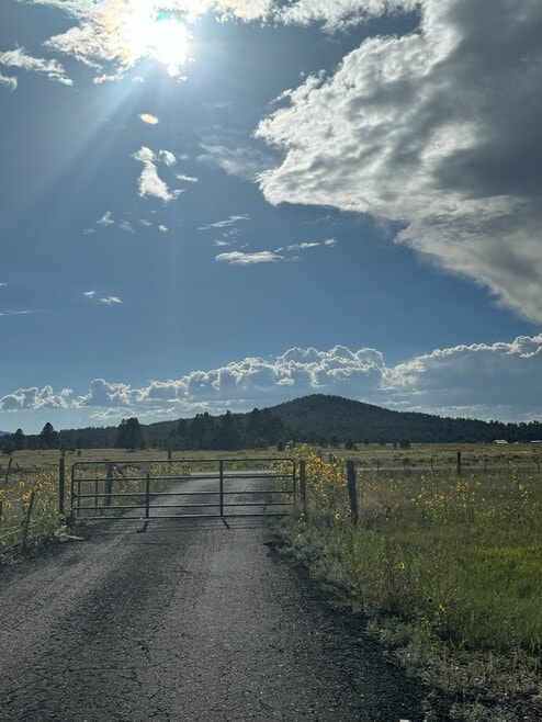 Building Photo - 8688 E Pittman Valley Rd