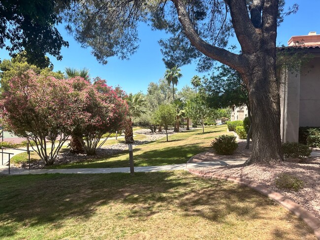 Building Photo - Condo In the Heart of Scottsdale