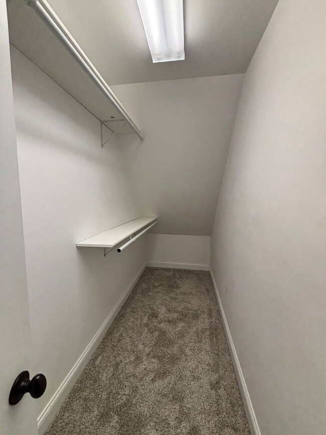 Building Photo - Freshly Renovated Dollhouse in Maryville!!