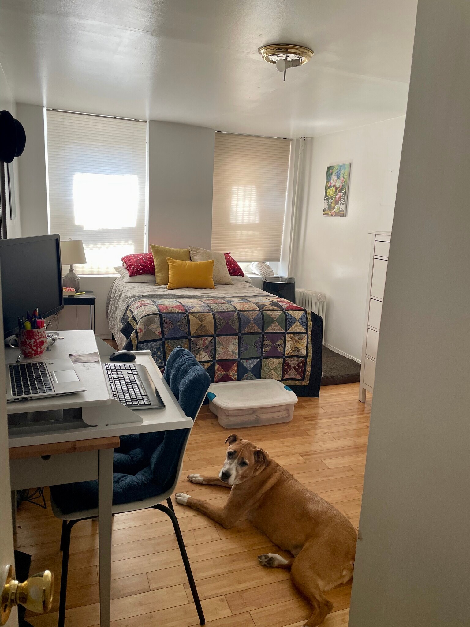 Building Photo - 329 E 116th St