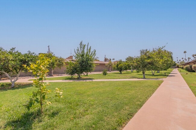 Building Photo - 2-Bedroom Condo in Citrus Acres Steps from...