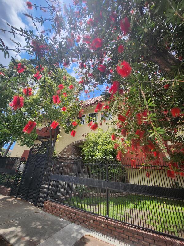 Building Photo - 425 N Hobart Blvd