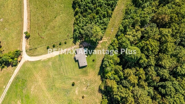 Building Photo - Spacious 4 bedroom home in private setting