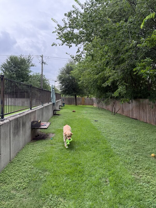 Building Photo - 1501 Lorraine Loop