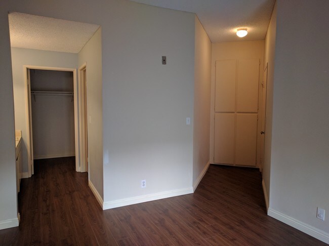 Master bedroom I entry, vanity and walk-in closet - 10021 Tabor St